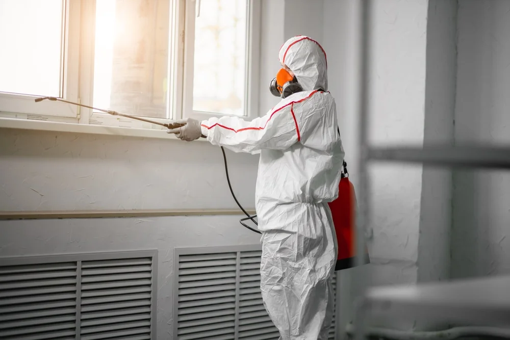 Professional mold remediation services in Wanamingo, MN